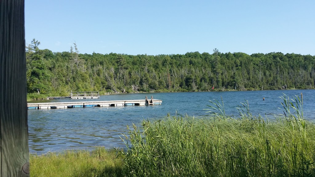 Loon Lake Resort | 302 Quin Mo Lac Rd, Madoc, ON K0K 2K0, Canada | Phone: (613) 473-0766