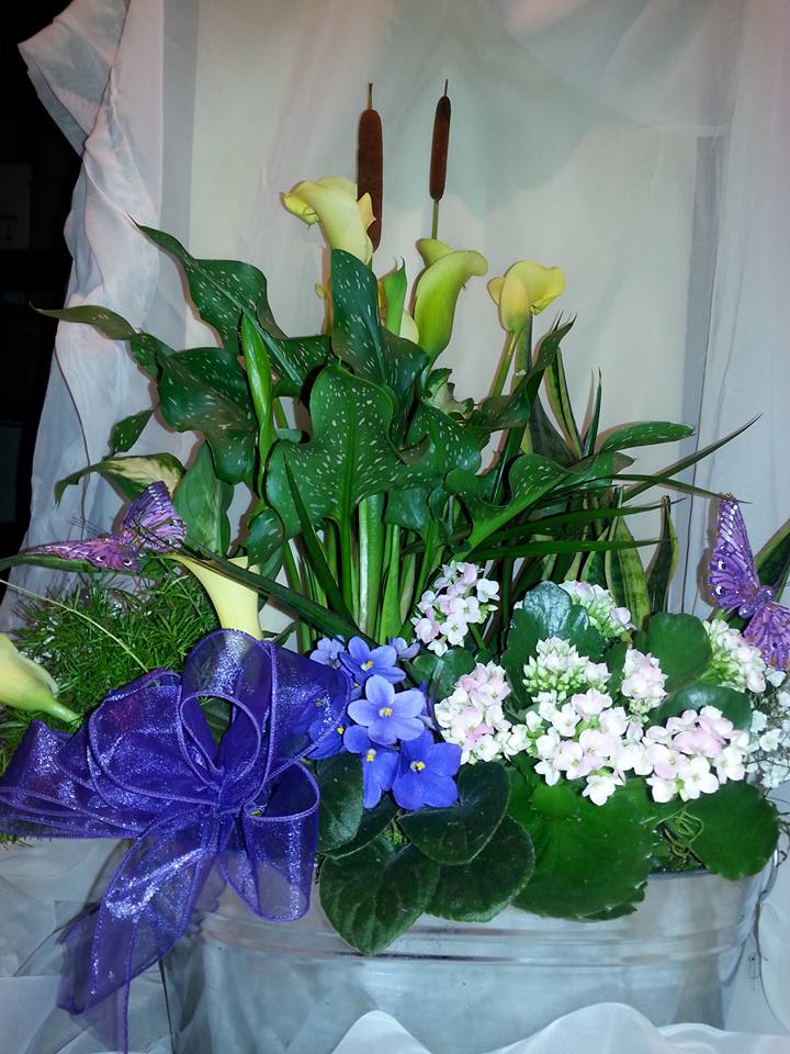 My Flower Shop | 1020 Eagle St N, Cambridge, ON N3H 1C7, Canada | Phone: (519) 650-0755