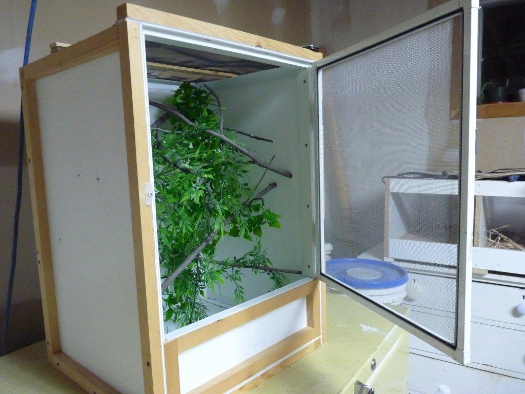 Caméléon-Mauricie | 5-425 Rue Matteau, Trois-Rivières, QC G8Y 5Y3, Canada | Phone: (819) 841-4772