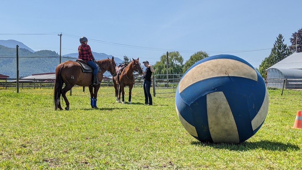 Jim Greendyk Performance Horses | 49815 Chilliwack Central Rd, Chilliwack, BC V2P 6H3, Canada | Phone: (604) 217-7700