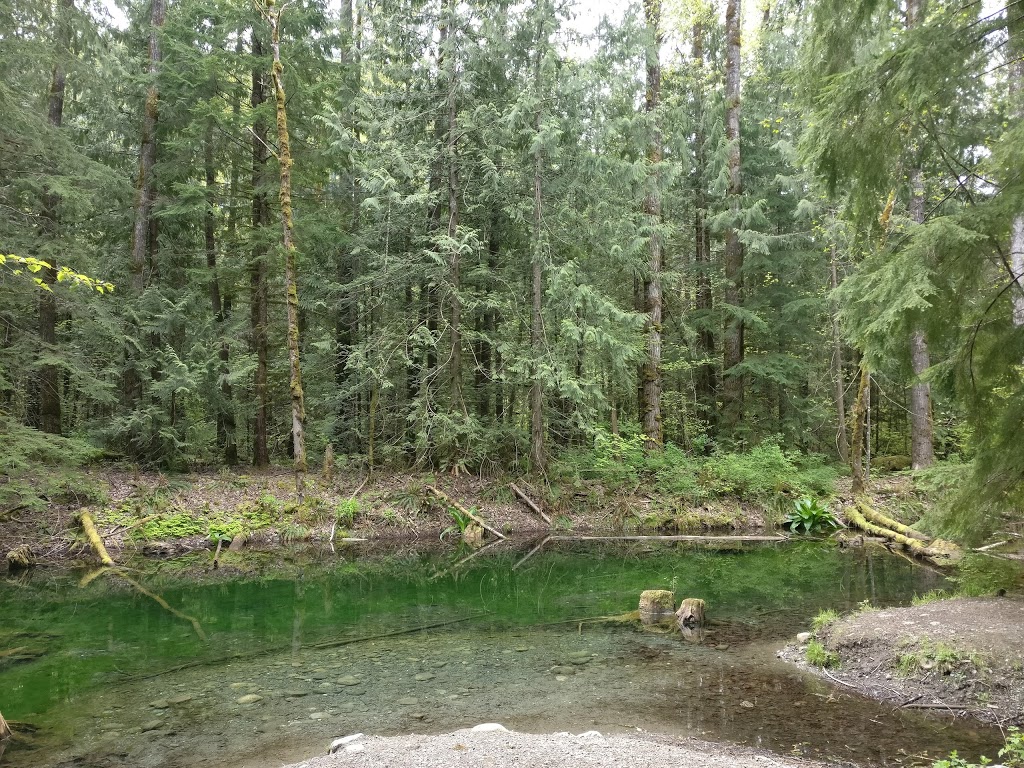 Chilliwack River Provincial Park | Rosedale, BC V0X 1X0, Canada