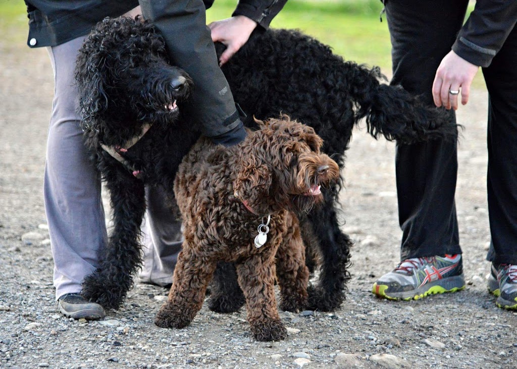 Clearbrook Park Off Leash Area | 5B5, Sparwood St, Abbotsford, BC V2T 5B5, Canada