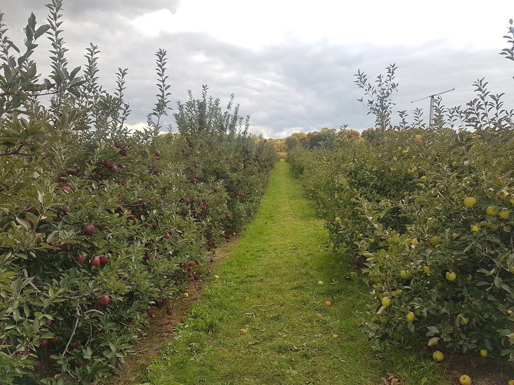 Great Lakes Farms | 5111 Union Rd, Port Stanley, ON N5L 1J2, Canada | Phone: (519) 782-3433