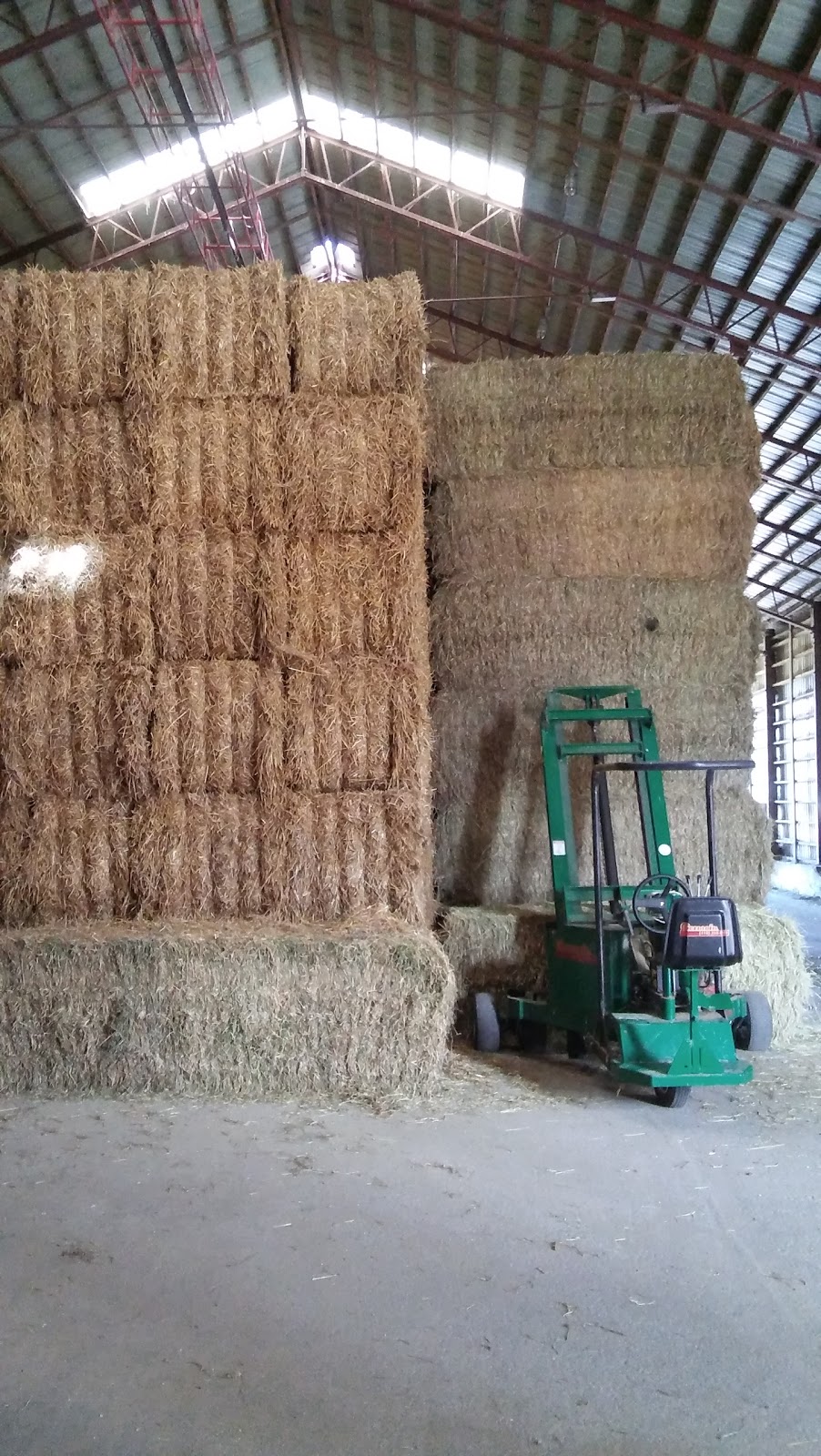 Ferme Boisblanc Holstein inc. | 651 Rte du Bois Blanc, Saint-Justin, QC J0K 2V0, Canada | Phone: (819) 227-2579