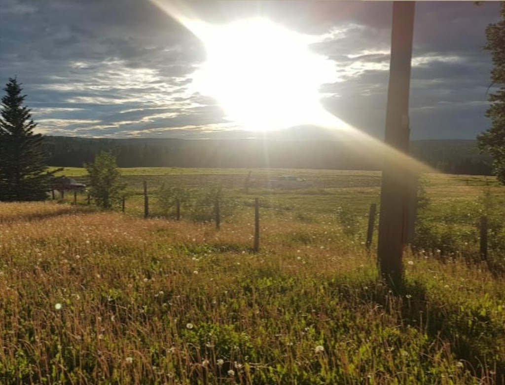 Kahou Farm | Township Rd 295A, Alberta T0M 2E0, Canada | Phone: (587) 891-3276