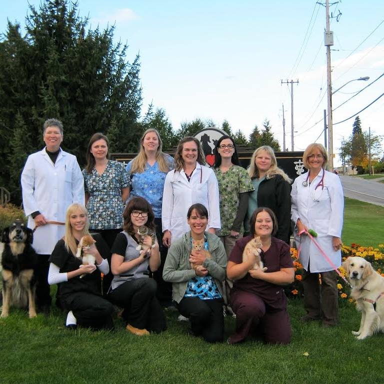 Simcoe Animal Hospital | 16 Decou Rd, Simcoe, ON N3Y 4K8, Canada | Phone: (519) 426-0111