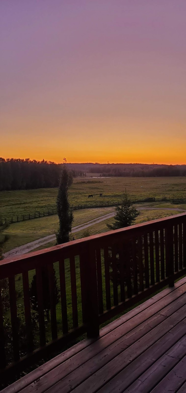Hidden Springs Retreat and Guest House | Box 102, Winfield, AB T0C 2X0, Canada | Phone: (780) 682-2480