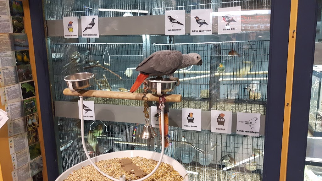 Animalerie | 1080 Rang Saint-François, Terrebonne, QC J6Y 1Z5, Canada | Phone: (450) 979-9724