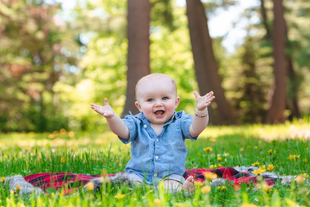 Soultree Photography | HWY 118 W, Bracebridge, ON P1L 2B9, Canada | Phone: (705) 646-1576