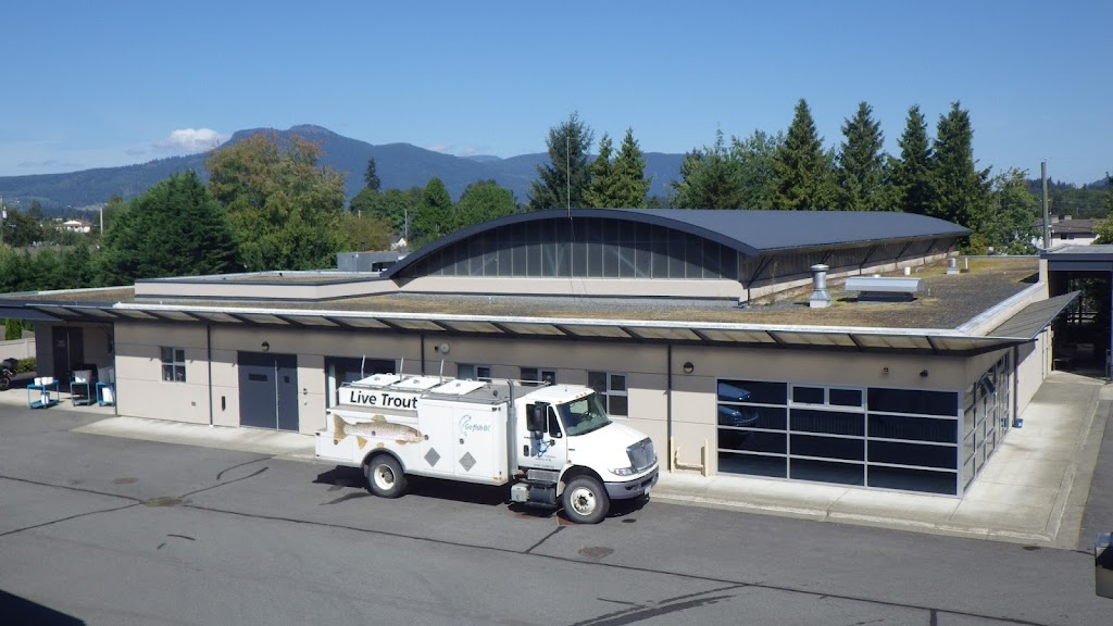 Vancouver Island Trout Hatchery | 1080 Wharncliffe Rd, Duncan, BC V9L 2K7, Canada | Phone: (250) 746-5180