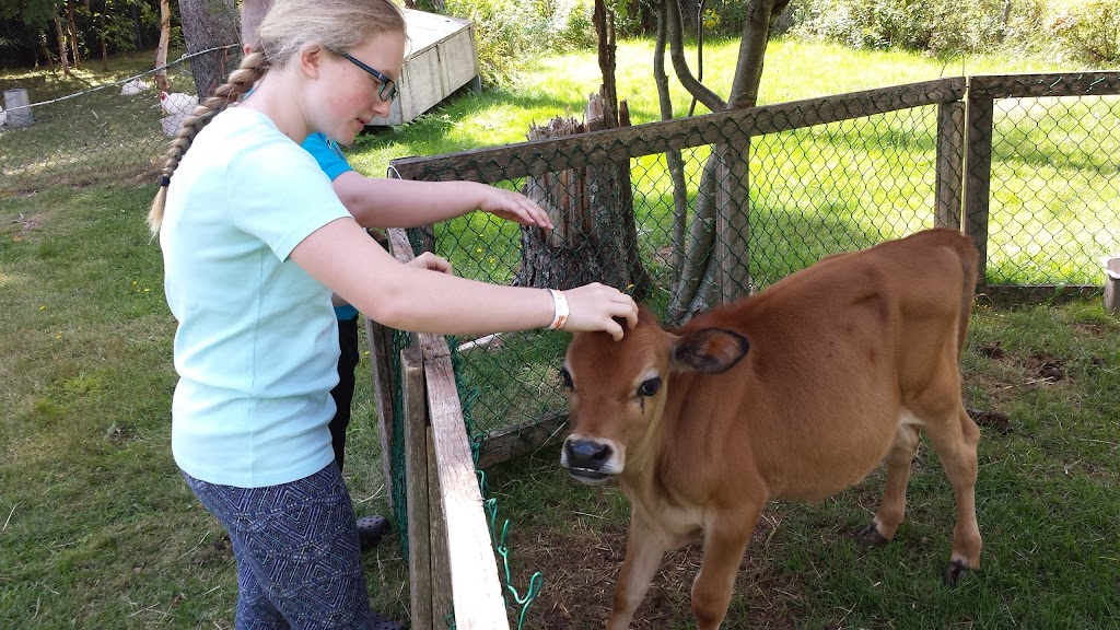 Jurassic Barts Dinosaur Museum and Petting Farm | 9739 Cavendish Rd, Breadalbane, PE C0A 1E0, Canada | Phone: (902) 886-2398