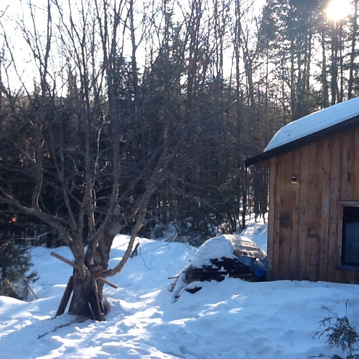 Le studio Newton recording studio | 6 Rue Newton, Morin-Heights, QC J0R 1H0, Canada | Phone: (514) 894-2180