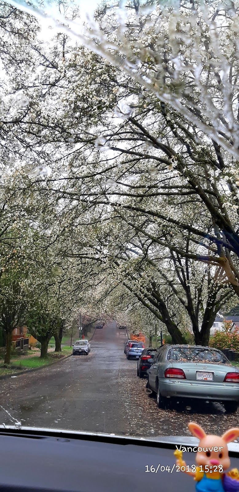Burnaby Park & Picnic Sites | Canada Way, Burnaby, BC V5G 4H7, Canada | Phone: (604) 294-7459