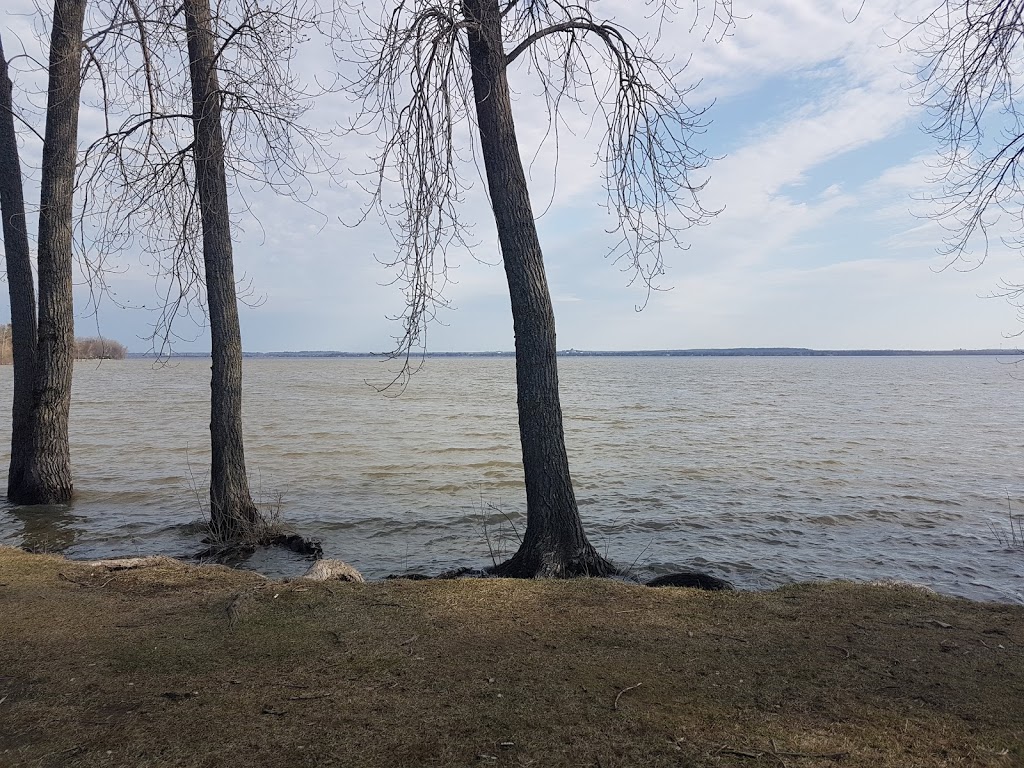 Marina aylmer park | Rte Verte 1, Gatineau, QC J9H 6J2, Canada