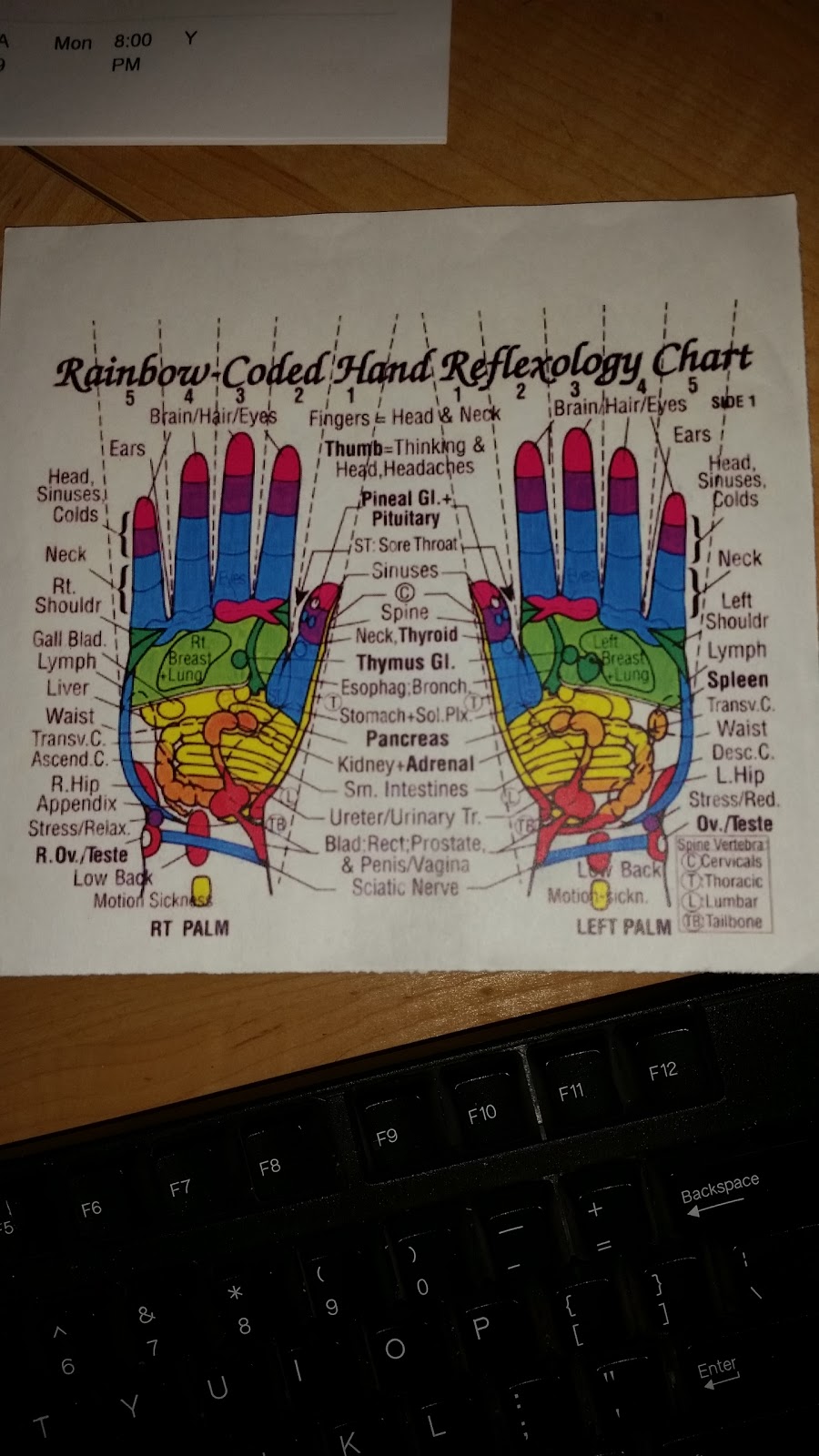 Soothe Your Soul Reflexology | 122 Charlton Crescent, Sherwood Park, AB T8H 1S3, Canada | Phone: (587) 785-5155