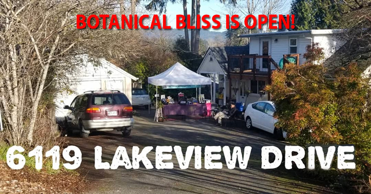 BOTANICAL BLISS | 6119 Lakeview Dr, Duncan, BC V9L 2G3, Canada | Phone: (250) 710-1276