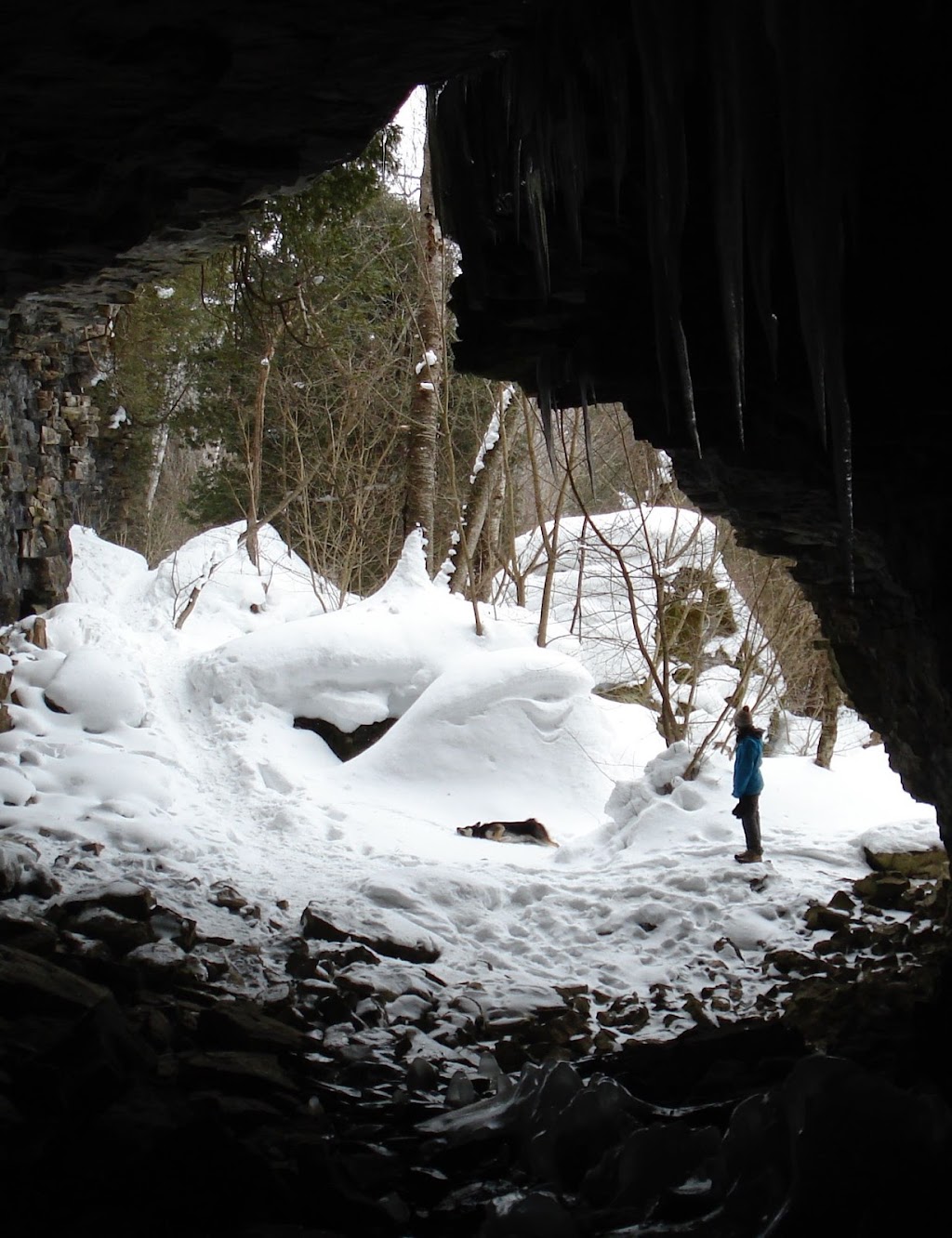 Atelier Arboreal | Highway #6, Wiarton, ON N0H 2T0, Canada | Phone: (226) 668-3030