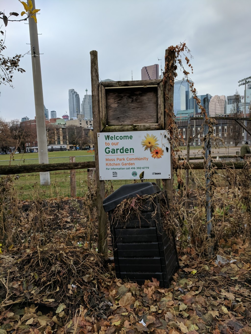 Fred Victor Community Garden | 151 Shuter St #97, Toronto, ON M5A 2R6, Canada | Phone: (416) 364-8228