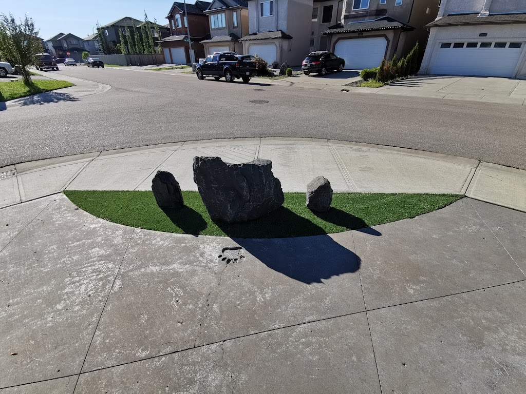 Transcend Turf | 11243 102 St NW, Edmonton, AB T5G 2E2, Canada | Phone: (825) 993-6606