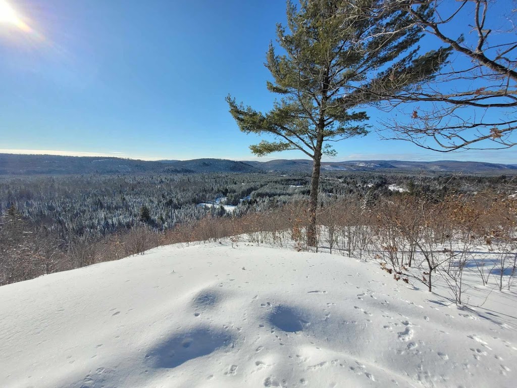 Chalet des Patriotes | 21 Rue de la Montagne, Saint-Alexis-des-Monts, QC J0K 1V0, Canada | Phone: (819) 996-4504