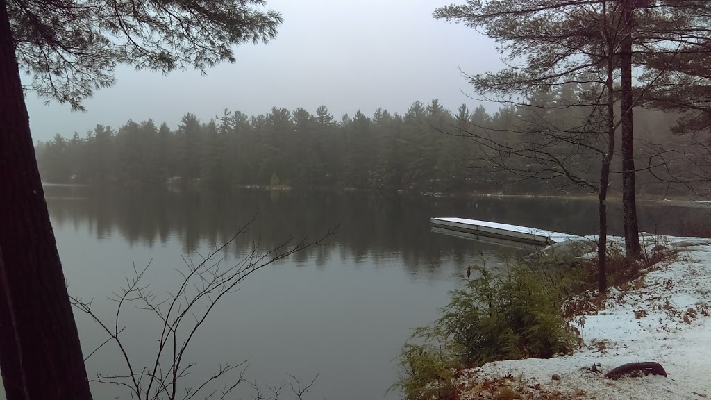 Hamer J W Son Ltd | 1558 Hamer Bay Rd, MacTier, ON P0C 1H0, Canada | Phone: (705) 375-2157