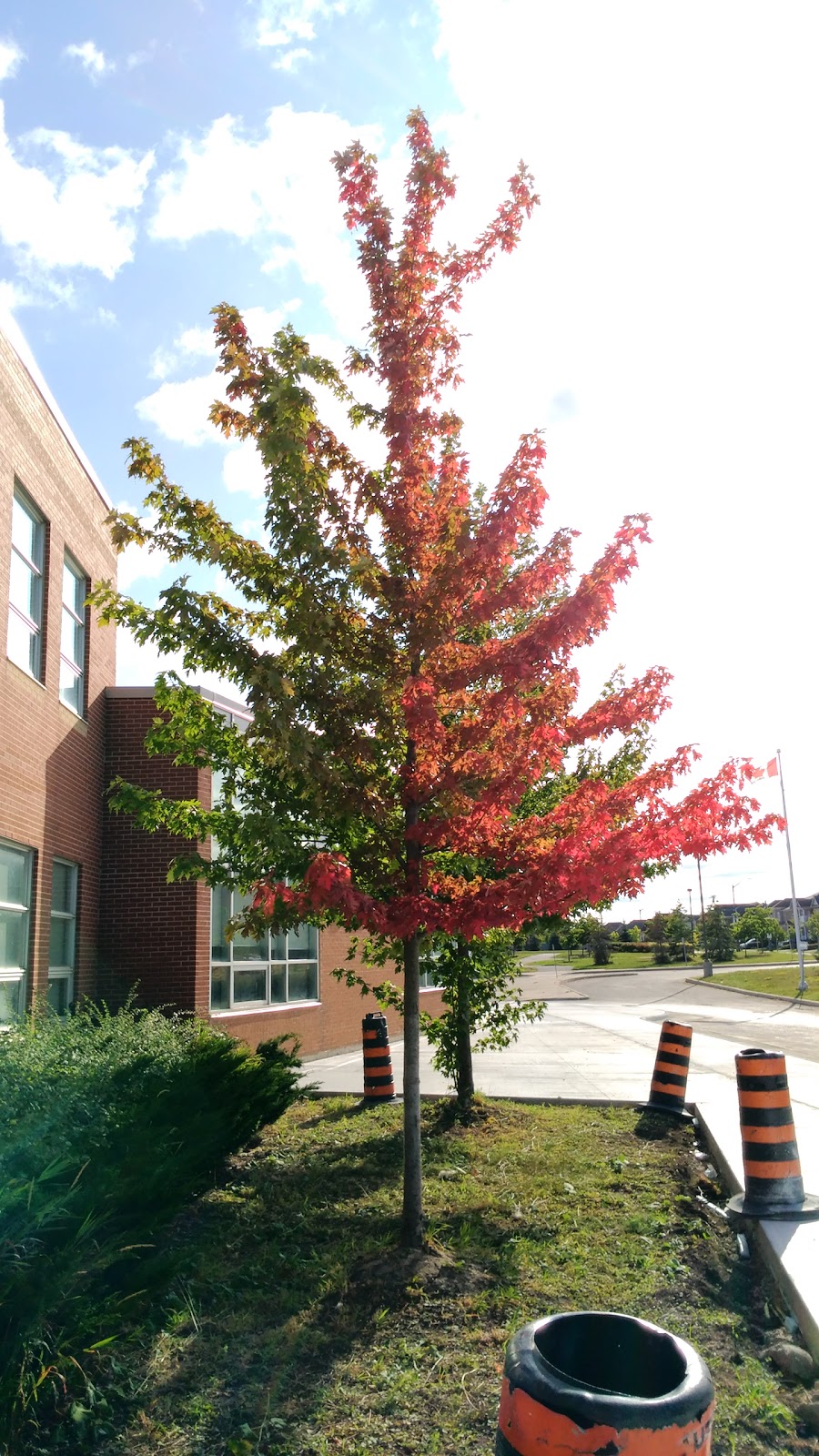 McKinnon Public School | 3270 Tacc Dr, Mississauga, ON L5M 0H3, Canada | Phone: (905) 812-2544