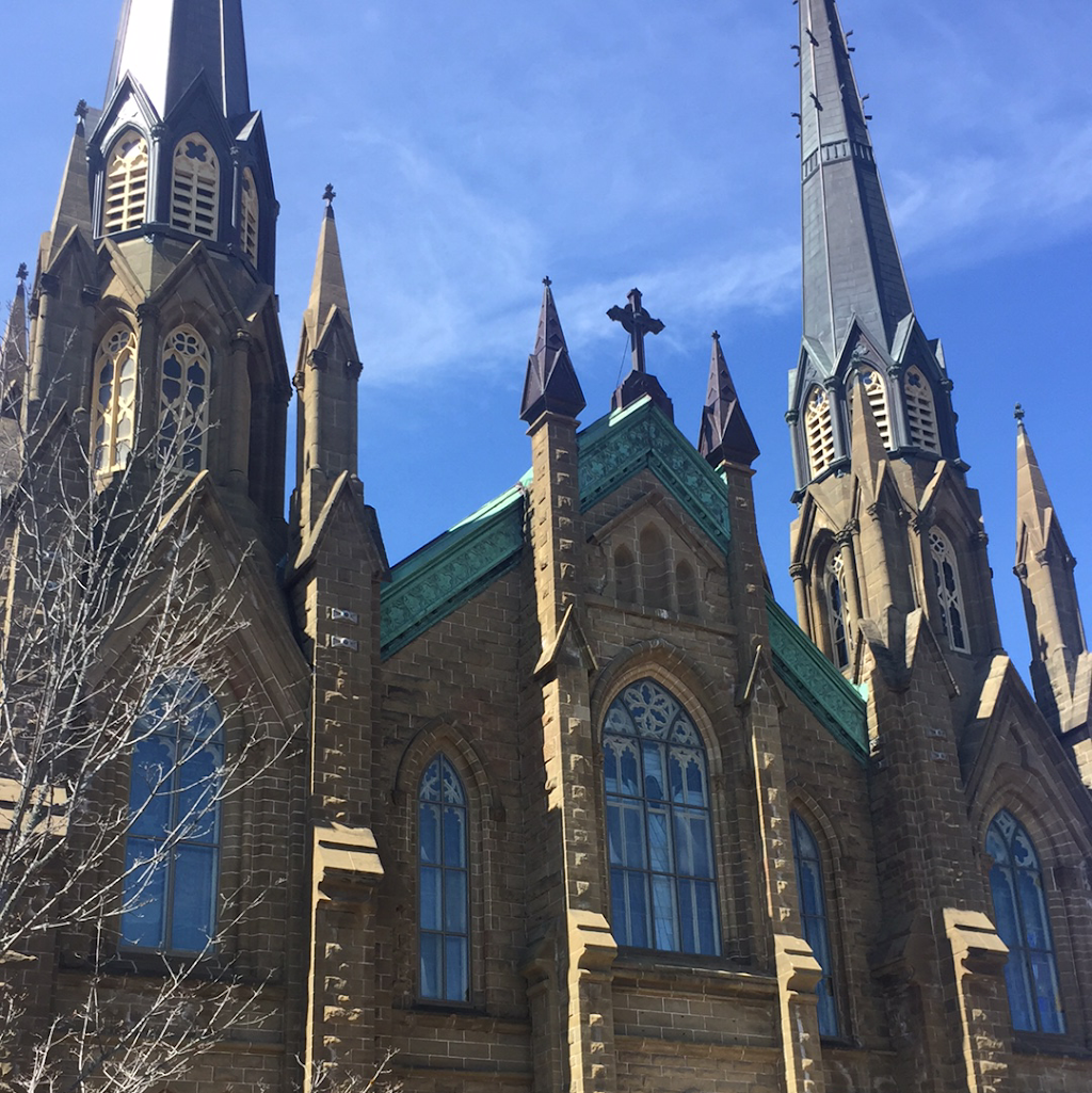PEI Tours | 29 Hunter Ln, Charlottetown, PE C1A 9K9, Canada | Phone: (902) 940-6554