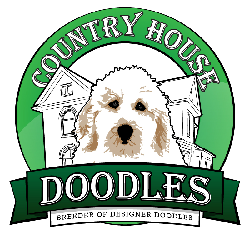 COUNTRY HOUSE DOODLES | 33780 Fingal Line, Fingal, ON N0L 1K0, Canada | Phone: (519) 769-2613