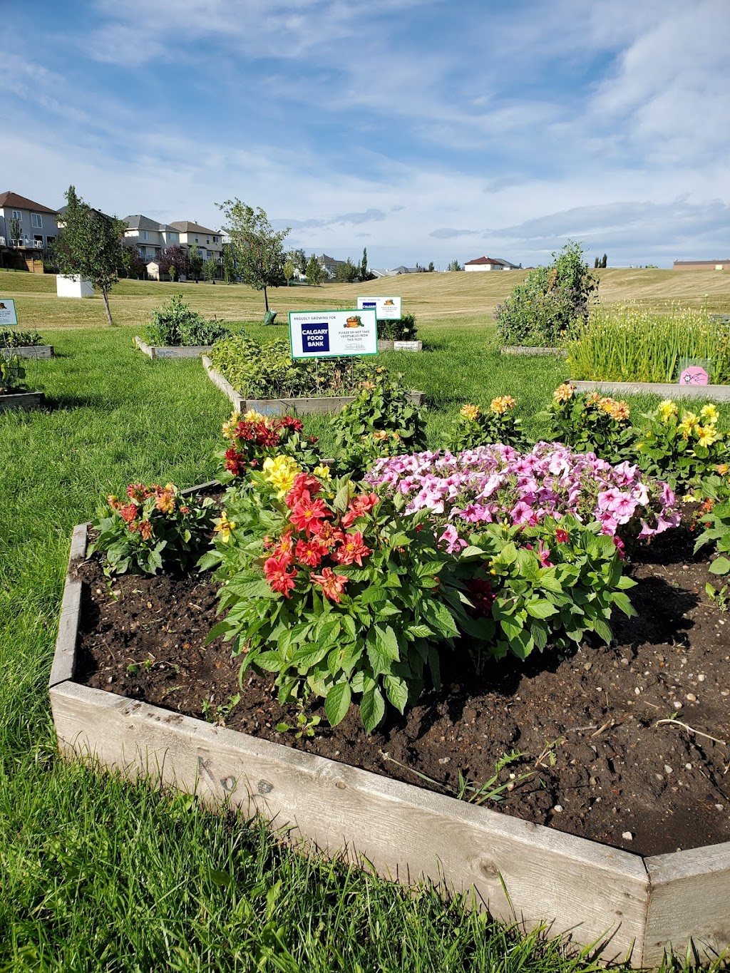 Harvest Hills Community Garden | 520 Harvest Lake Dr NE, Calgary, AB T3K 4C3, Canada | Phone: (403) 226-6422