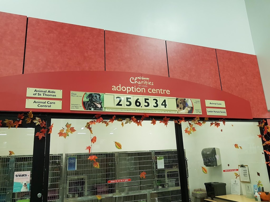 PetSmart | 86 Fanshawe Park Rd E, London, ON N5X 4C5, Canada | Phone: (519) 672-6149