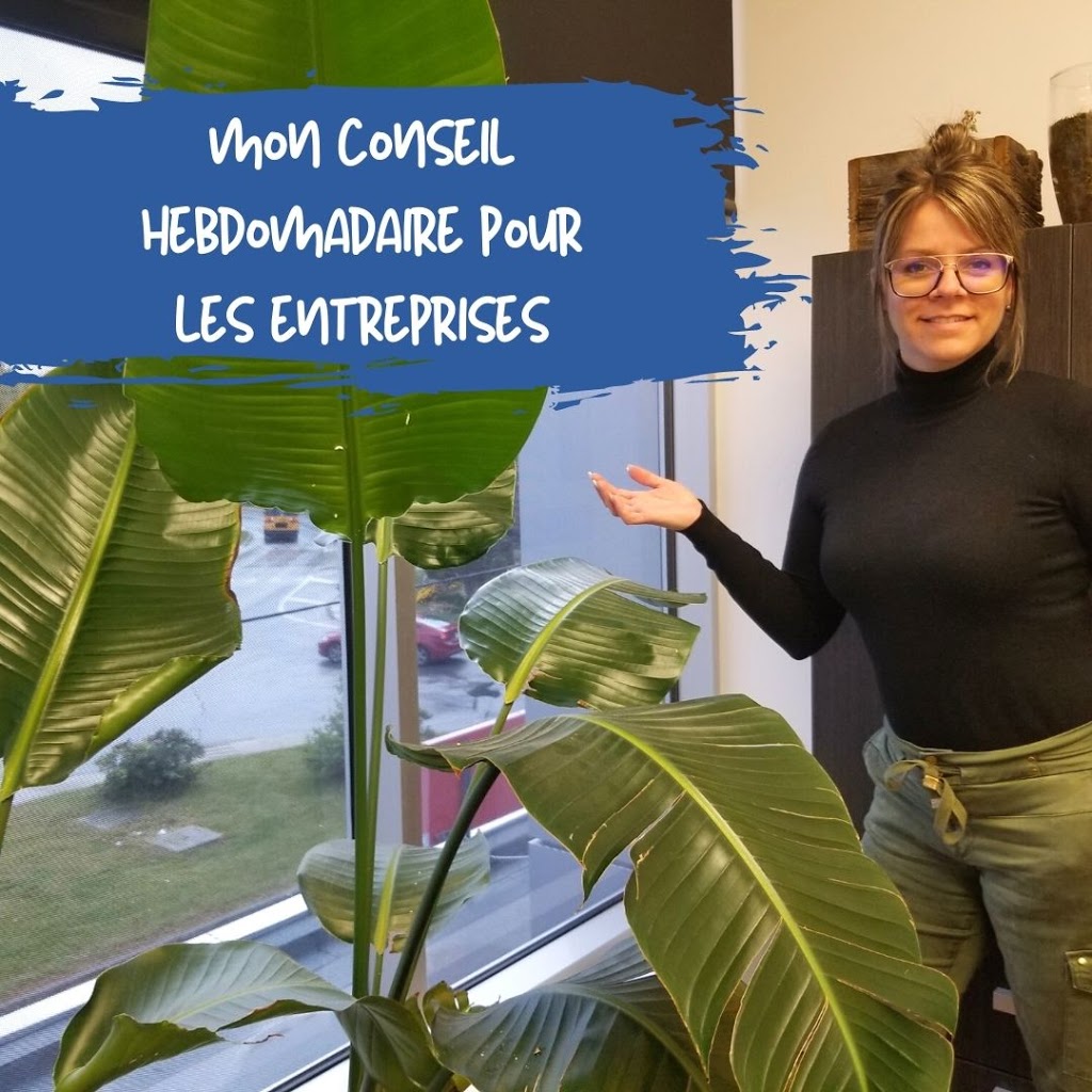 Services Comptables Tchasly inc. | 450 Boulevard Brassard Suite 205, Chambly, QC J3L 6K4, Canada | Phone: (450) 715-4172