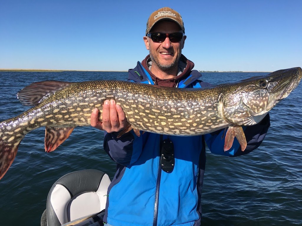 Alberta Fishing Charters | Heritage Dr SE Box 78032, Calgary, AB T2H 2Y1, Canada | Phone: (877) 202-5618