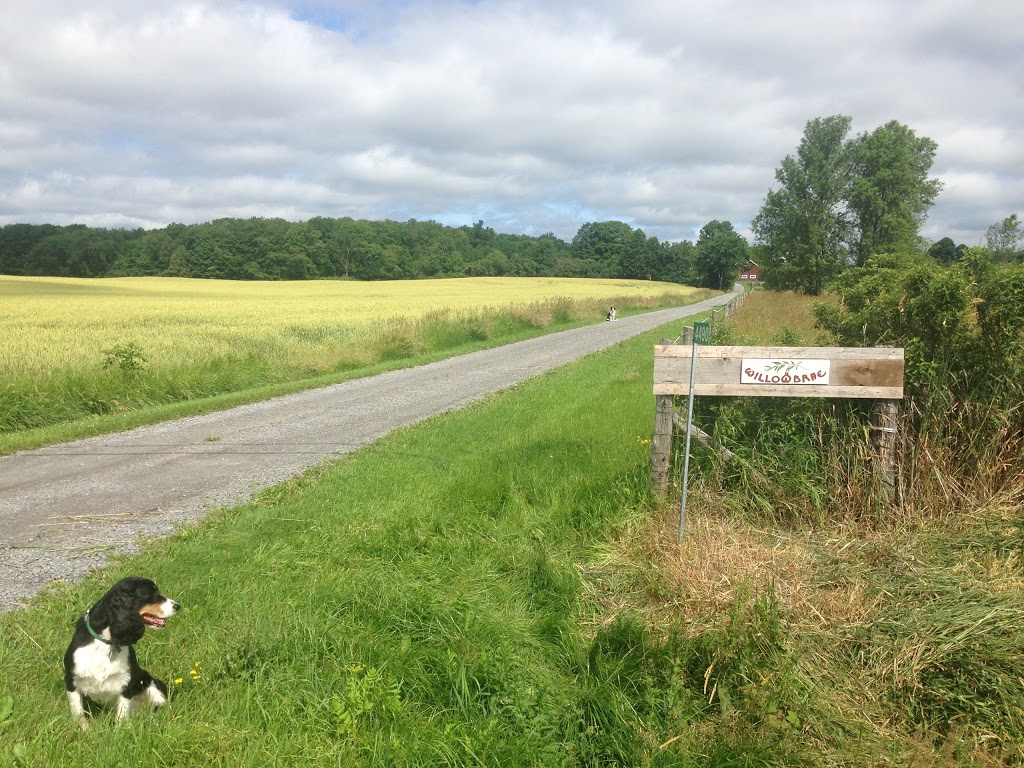 Willowbrae Farm B&B | 4490 County Road 8 W, Greater Napanee, ON K7R 3K7, Canada | Phone: (613) 373-9792