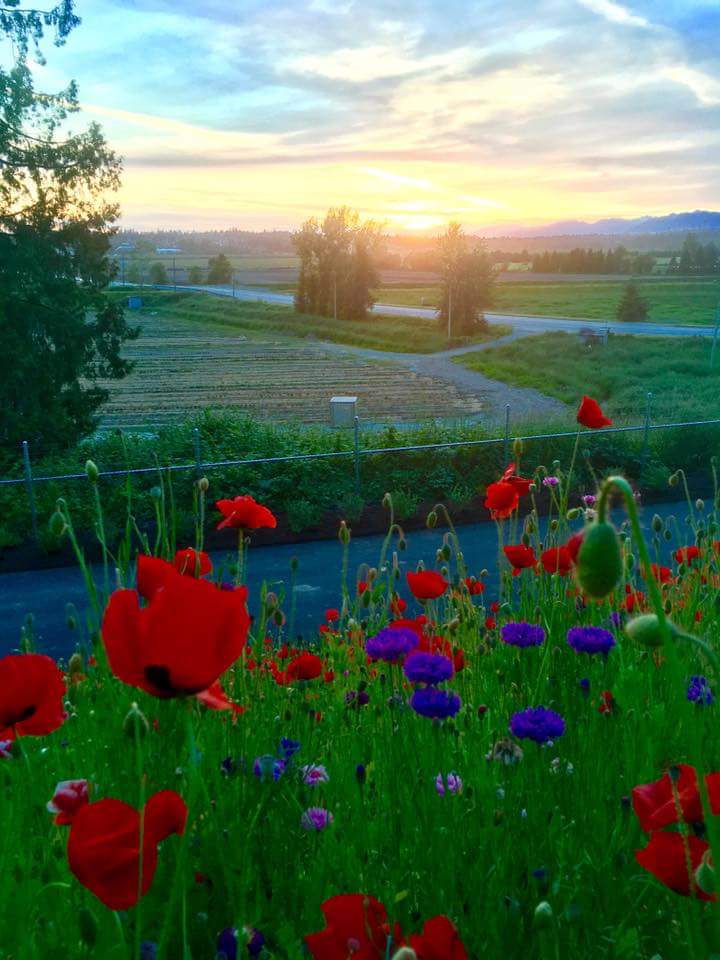 The Ridge At Bose Farms | 16390 64 Ave, Surrey, BC V3S 3V5, Canada | Phone: (604) 901-6093