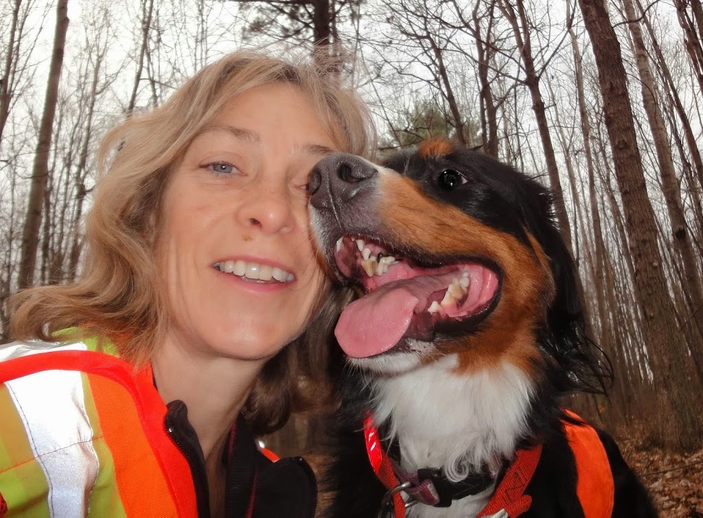 Paws to Claws Pet Services | 2832 Line 12, Bradford, ON L3Z 2A5, Canada | Phone: (289) 231-9205