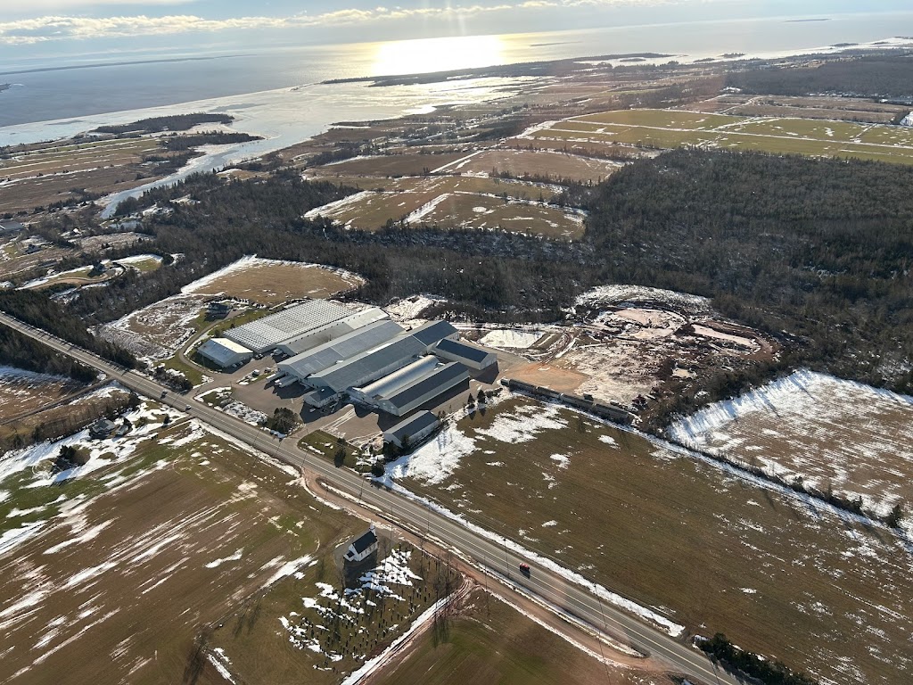 Vanco Farms Ltd | 9311 Trans-Canada Hwy, Mount Albion, PE C1B 0R4, Canada | Phone: (902) 651-2970