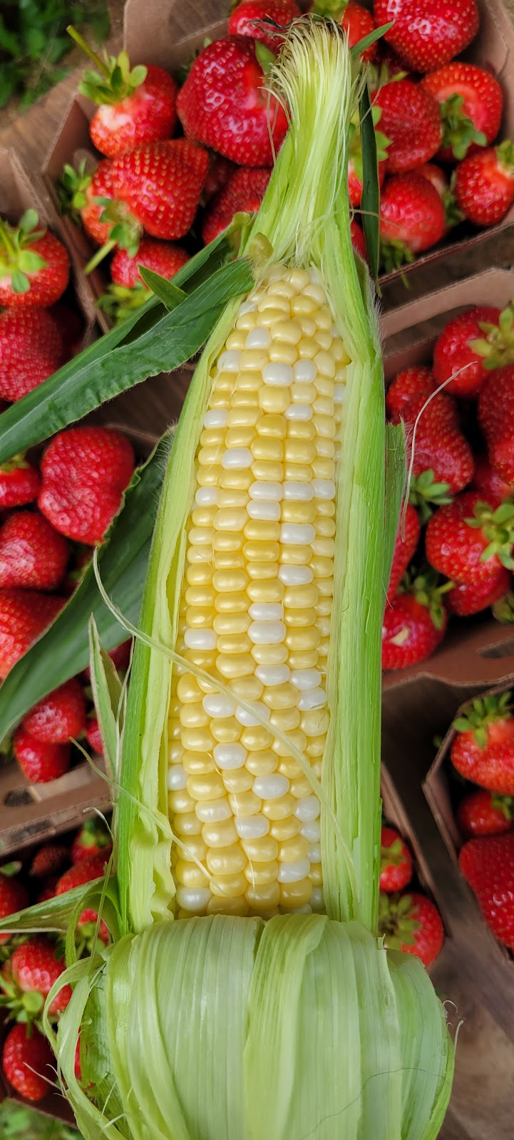Marché Mcbain | 2126 Bd Valcartier, Saint-Gabriel-de-Valcartier, QC G0A 4S0, Canada | Phone: (581) 307-9143