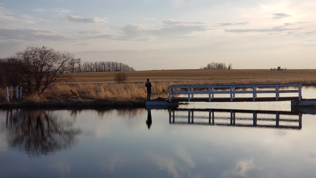 Cipperlys Pond and Campground | Unnamed Road 0W0, Didsbury, AB T0M 0W0, Canada | Phone: (403) 586-3748