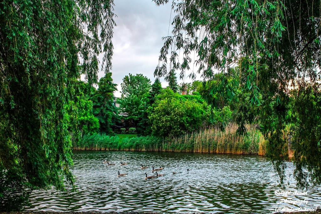 Laurelcrest Park | Brampton, ON L6S 5W3, Canada