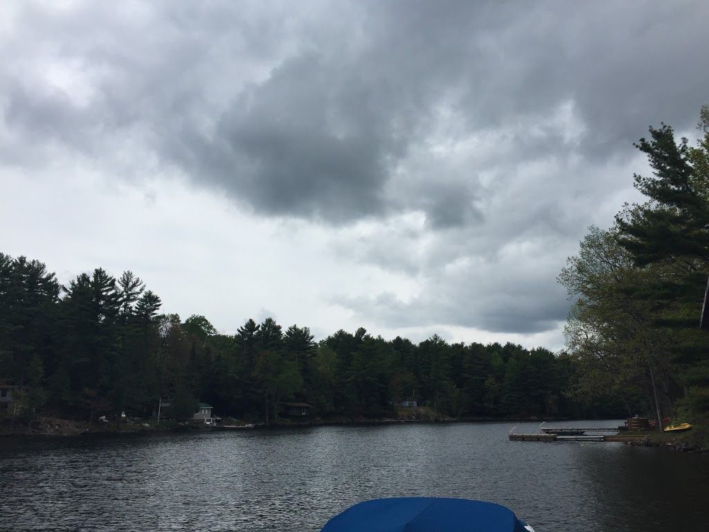 Bayview Marina | 832 Northeys Bay Rd, Woodview, ON K0L 3E0, Canada | Phone: (705) 654-4409
