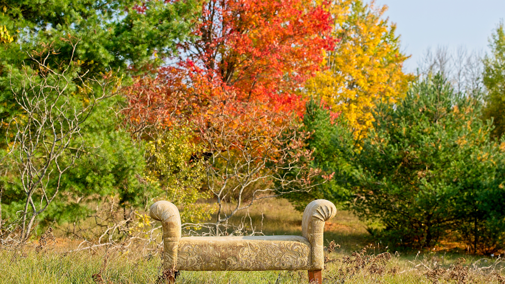Shepherd Photography | 32 Highcastle Ave, Keswick, ON L4P 4B4, Canada | Phone: (905) 955-2366