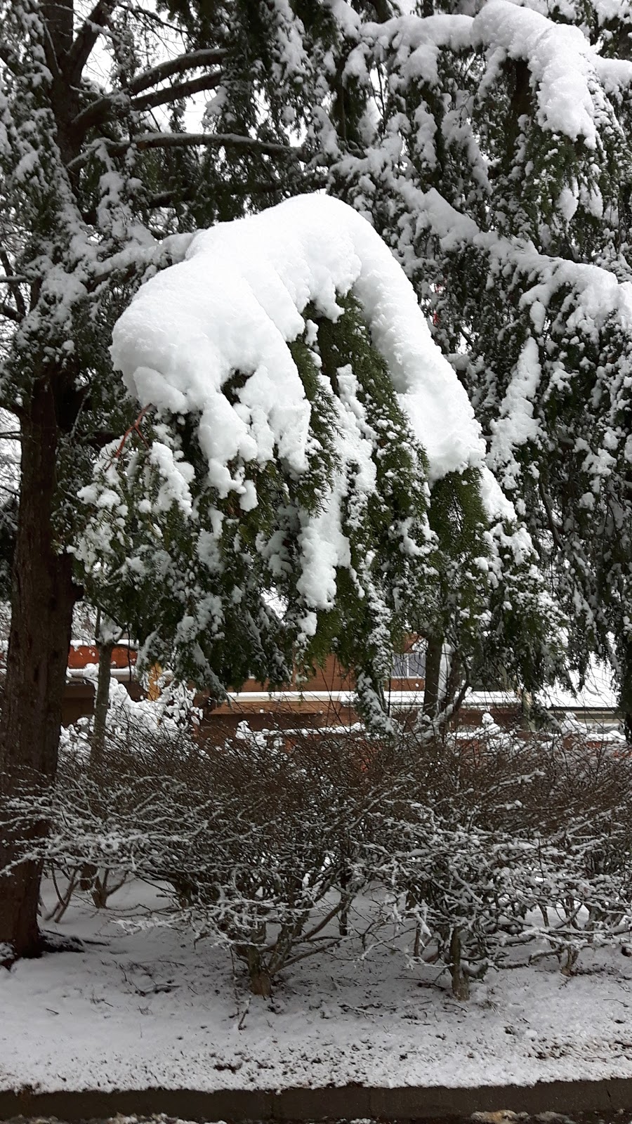 Glacier View Lodge | 2450 Back Rd, Courtenay, BC V9N 8B5, Canada | Phone: (250) 338-1451