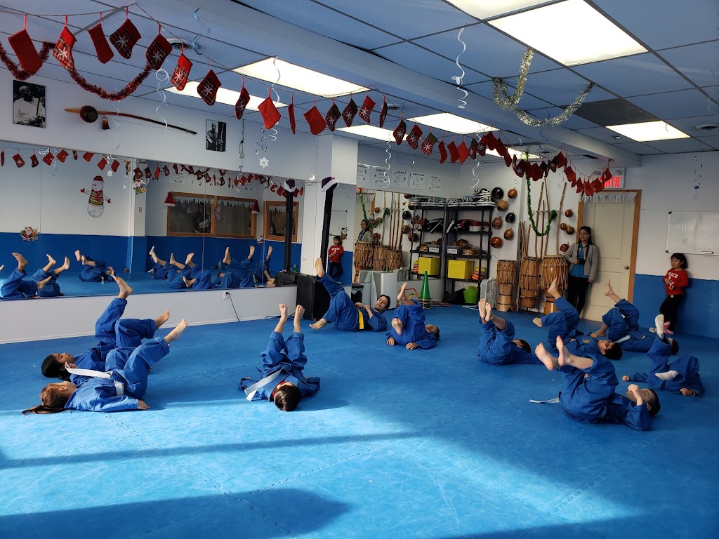 Vovinam Quebec À Laval | 103 A Bd de la Concorde O, Laval, QC H7N 1H8, Canada | Phone: (514) 501-2610