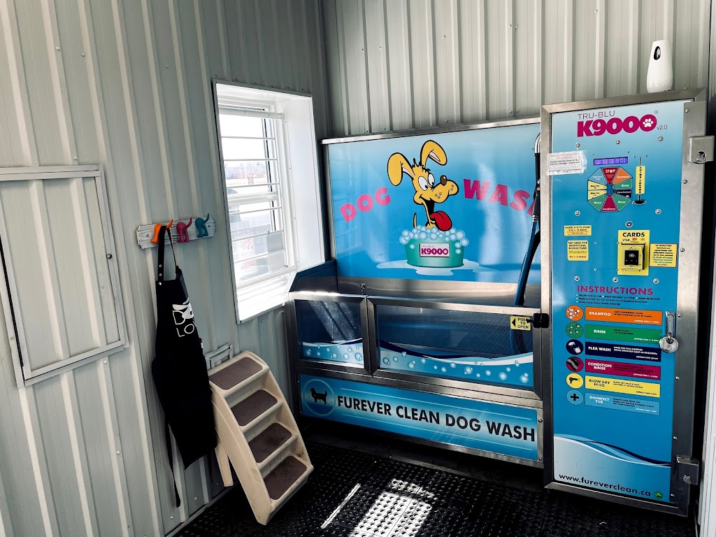 Wallaceburg Dog Wash | 63 McNaughton Ave, Wallaceburg, ON N8A 1R9, Canada | Phone: (519) 626-8525