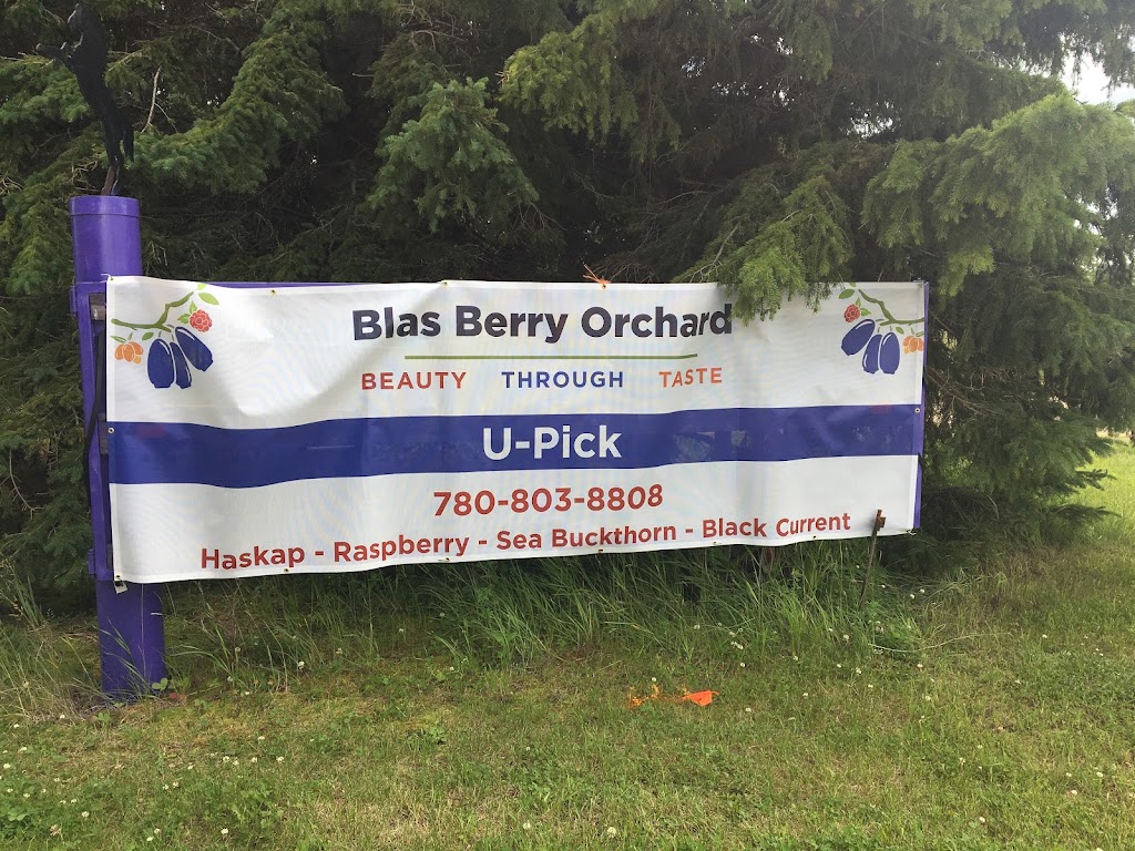 Blas Berry Orchard | 51009B, Range Rd 273, Spruce Grove, AB T7Y 1H5, Canada | Phone: (780) 803-8808