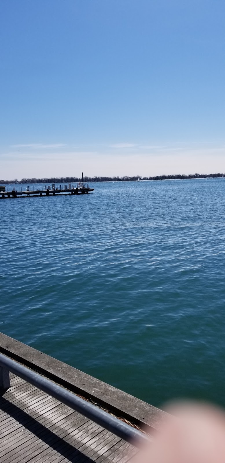Harbourfront Centre Natrel Rink | 235 Queens Quay W, Toronto, ON M5J 2G8, Canada | Phone: (416) 973-4000