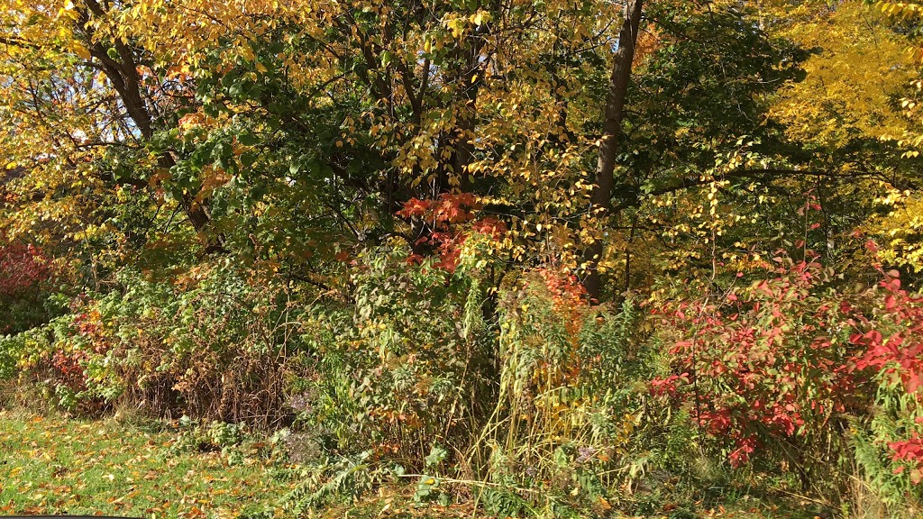 Grandview Park | Grandview Ave, Thornhill, ON L3T 1H6, Canada