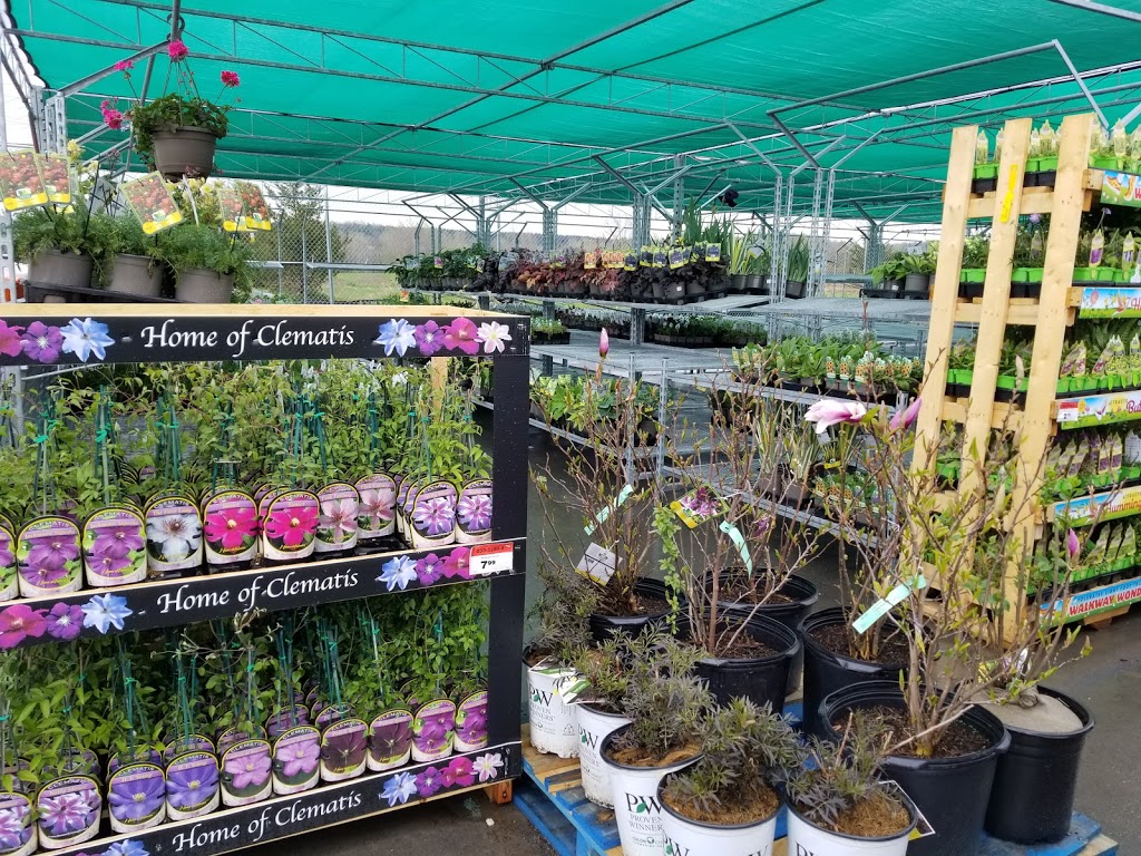 Canadian Tire | 13321 Loyalist Pkwy, Picton, ON K0K 2T0, Canada | Phone: (613) 476-7405