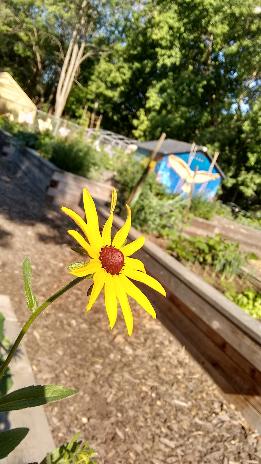 The Rail Garden | 450 Woodfield Rd, Toronto, ON M4L 2X3, Canada | Phone: (416) 338-4386