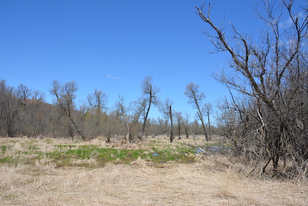 Ganaraska parking lot | Port Hope, ON L0A, Canada | Phone: (905) 885-8173